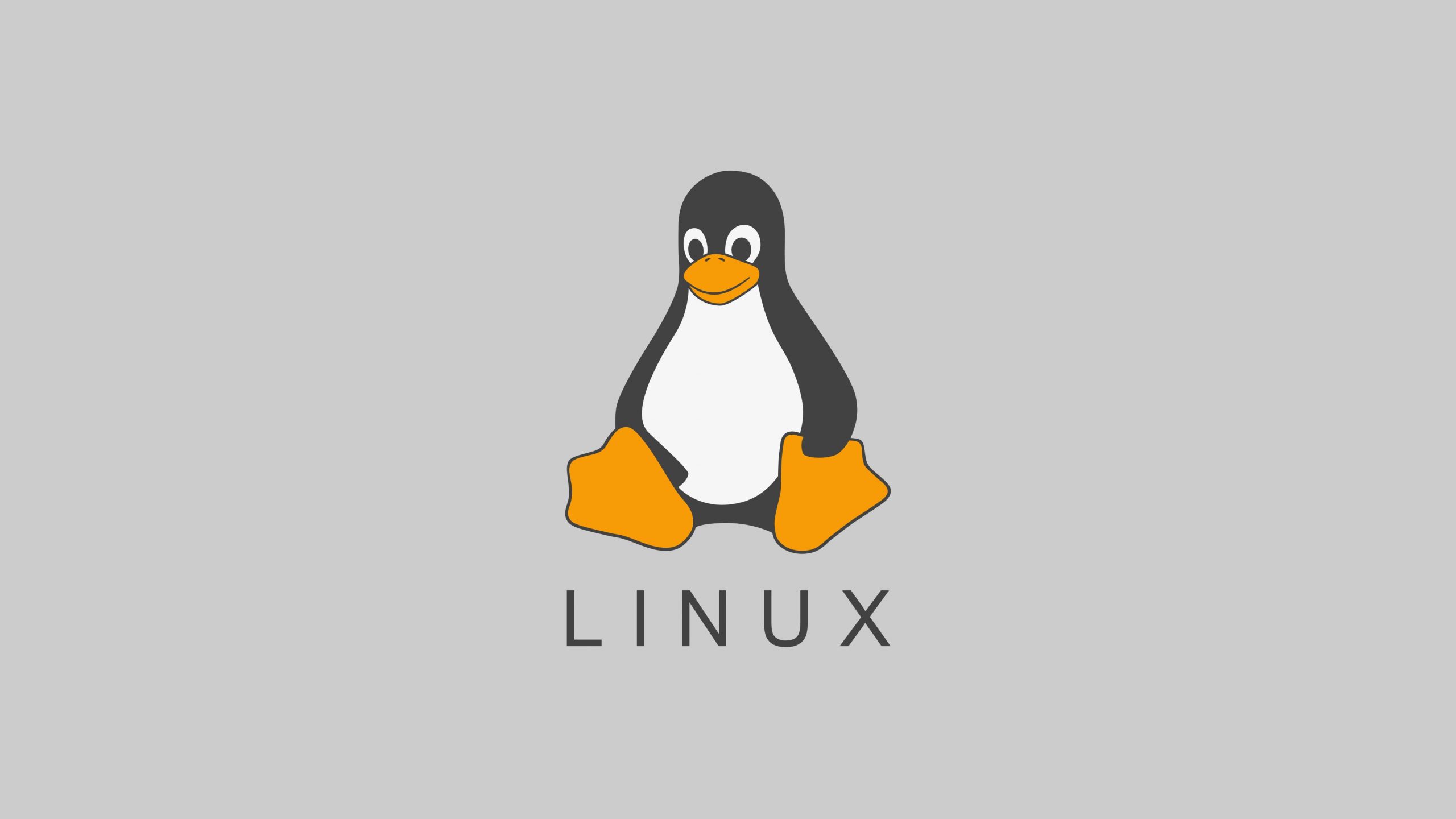 Linux less命令：用于分页显示文件内容-不念博客