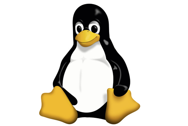 Linux网络配置与故障排除-不念博客
